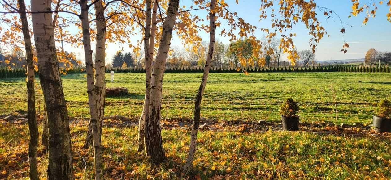 dom wolnostojący Nowa Wieś Grodziska Nowa Wieś Grodziska. Zdjęcie 2
