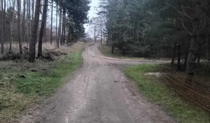 Działka budowlana Lgiń, ul. Leśna Polana