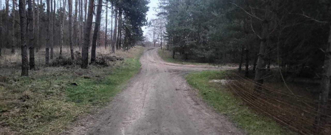 Działka budowlana Lgiń, ul. Leśna Polana. Zdjęcie 2