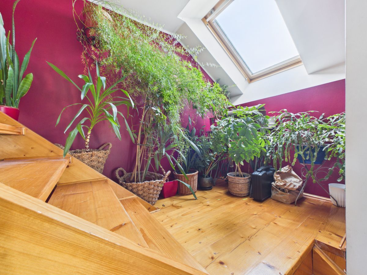 Mieszkanie 3-pokojowe Chłapowo, ul. Gospodarska. Zdjęcie 10