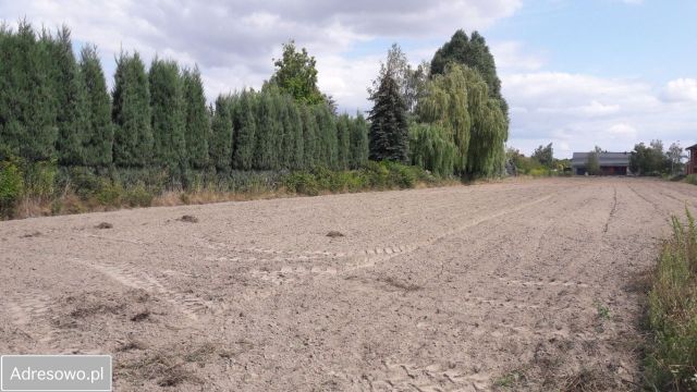 Działka budowlana Poznań Szczepankowo, ul. Dereniowa. Zdjęcie 1