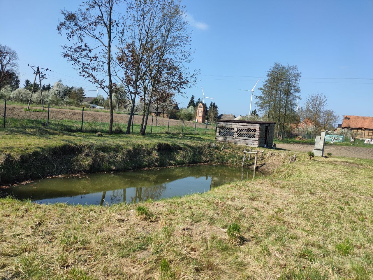 Działka rolna Trzebórz. Zdjęcie 4