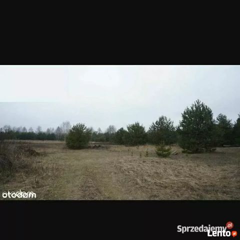 Działka budowlana Krzaki Czaplinkowskie, ul. Brzozowa. Zdjęcie 1