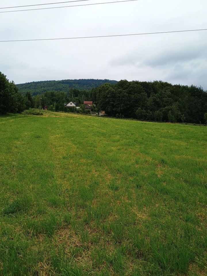 Działka rolno-budowlana Zasań Pod Kamiennikiem. Zdjęcie 3