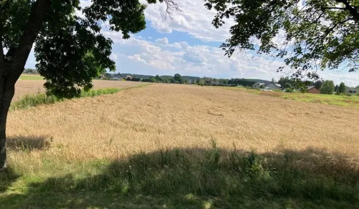 Działka siedliskowa Kiełmina