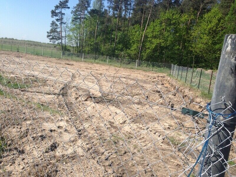 Działka rolno-budowlana Pęcław. Zdjęcie 2