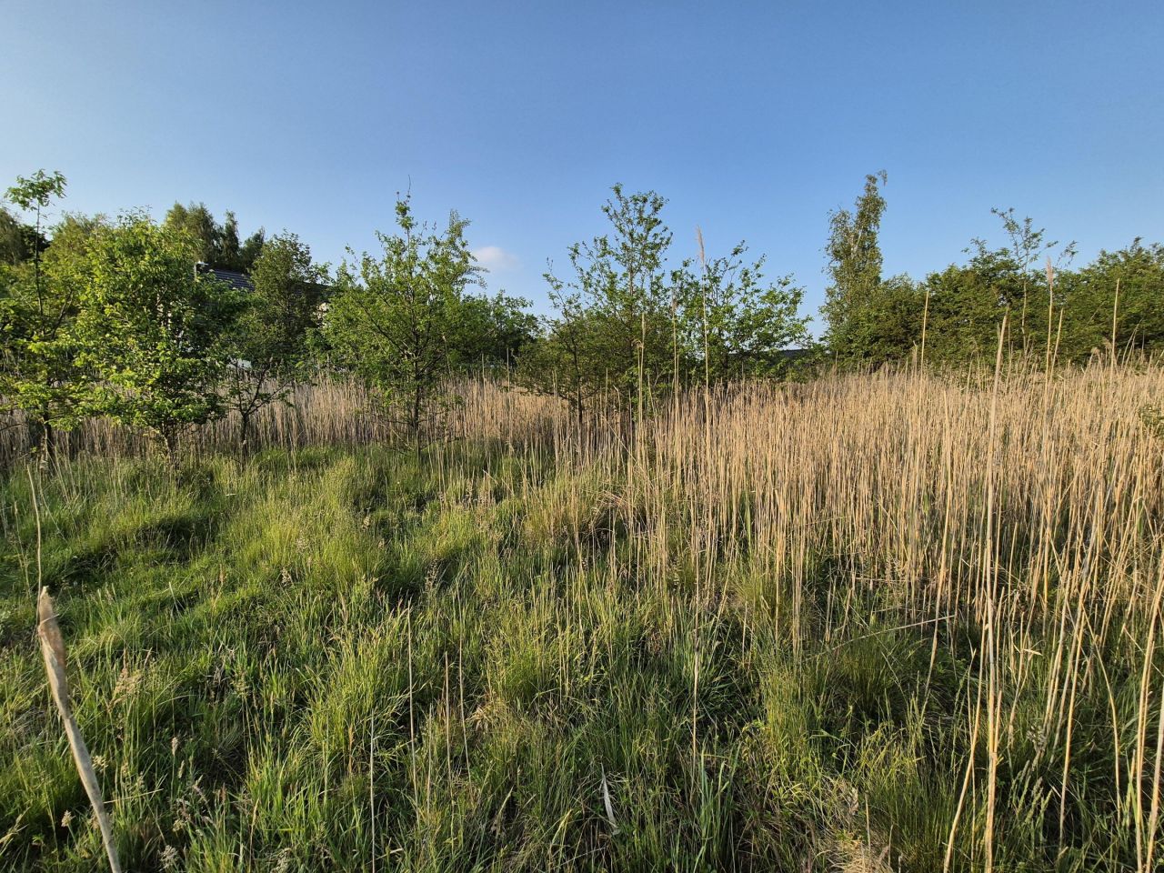 Działka budowlana Żary Kunice Żarskie, ul. gen. Ludwika Bittnera. Zdjęcie 5