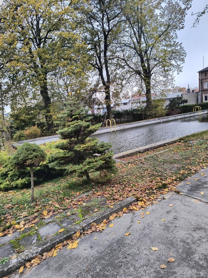 dom wolnostojący, 11 pokoi Kotla, ul. Głogowska. Zdjęcie 13