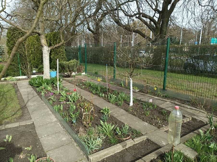 Działka rod Szczecin Pogodno. Zdjęcie 7