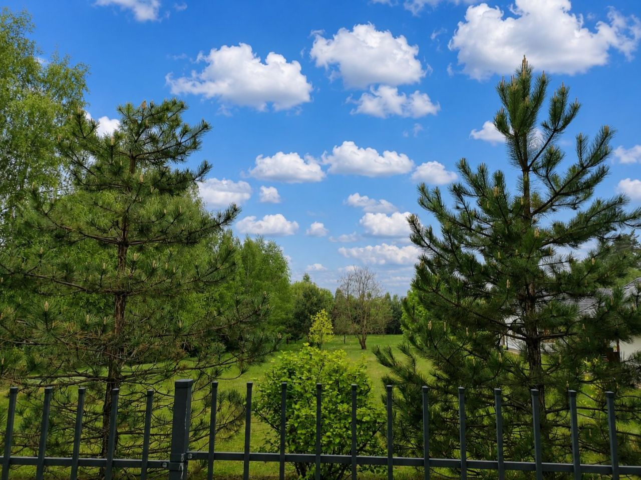 Działka budowlana Korniaktów Północny. Zdjęcie 6