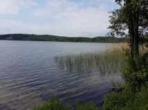 Działka siedliskowa Ramsowo. Zdjęcie 3