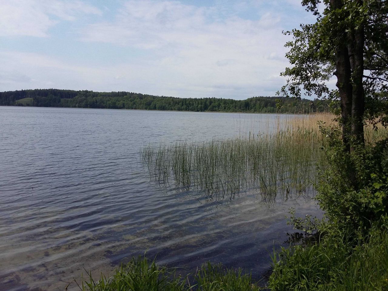 Działka siedliskowa Ramsowo. Zdjęcie 4