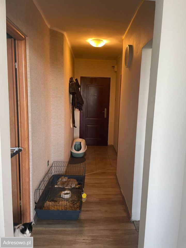 Mieszkanie 2-pokojowe Rydułtowy, ul. Plebiscytowa. Zdjęcie 6