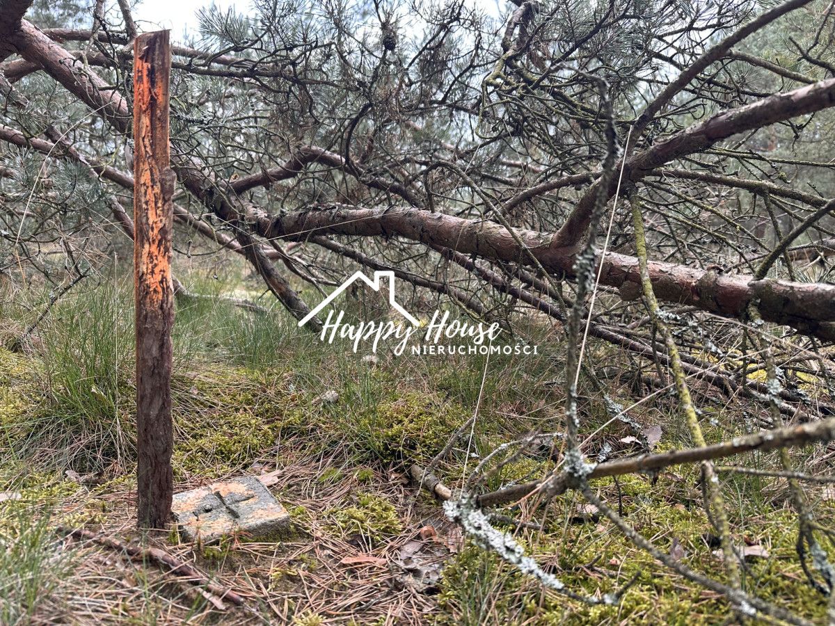 Działka inwestycyjna Czyczkowy. Zdjęcie 17