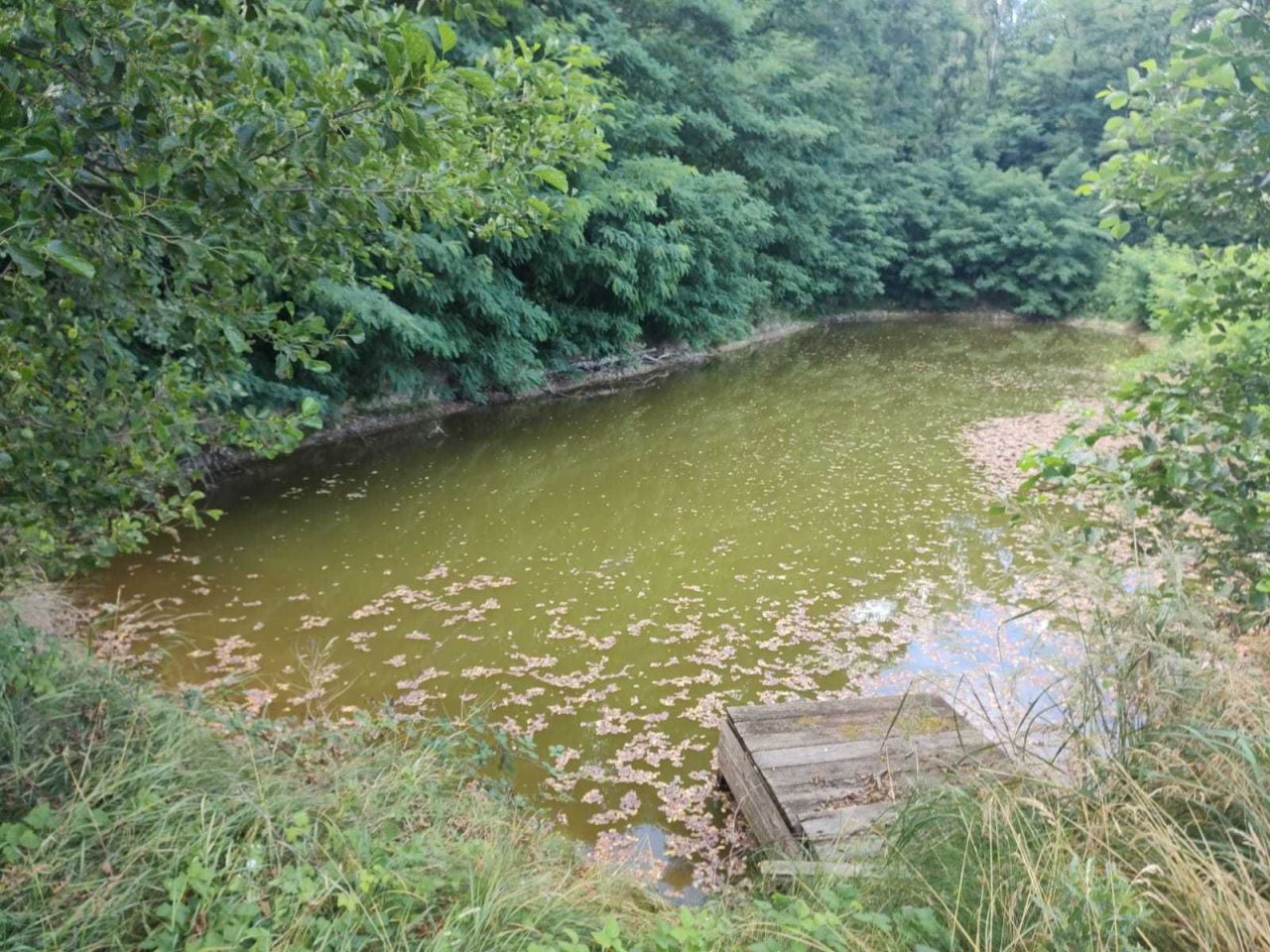 dom wolnostojący Józefów. Zdjęcie 3