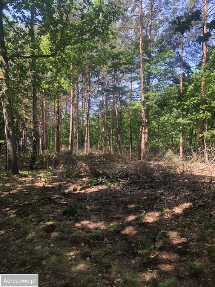 Działka budowlana Żelechów, ul. Pieńkowa. Zdjęcie 6