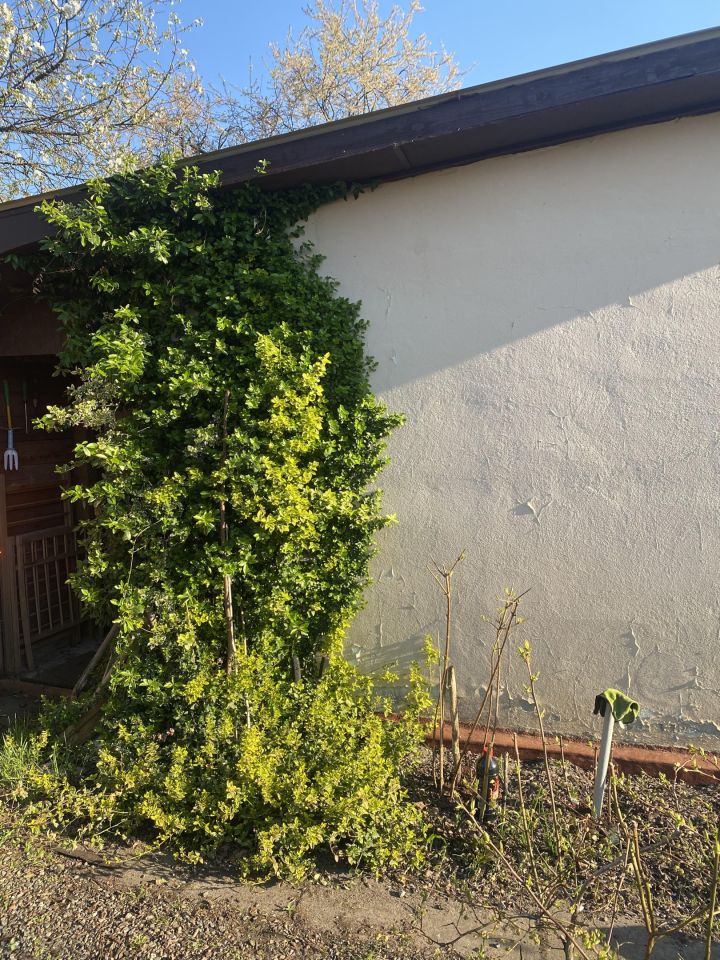 Działka rod Otwock Teklin, ul. Grunwaldzka. Zdjęcie 10