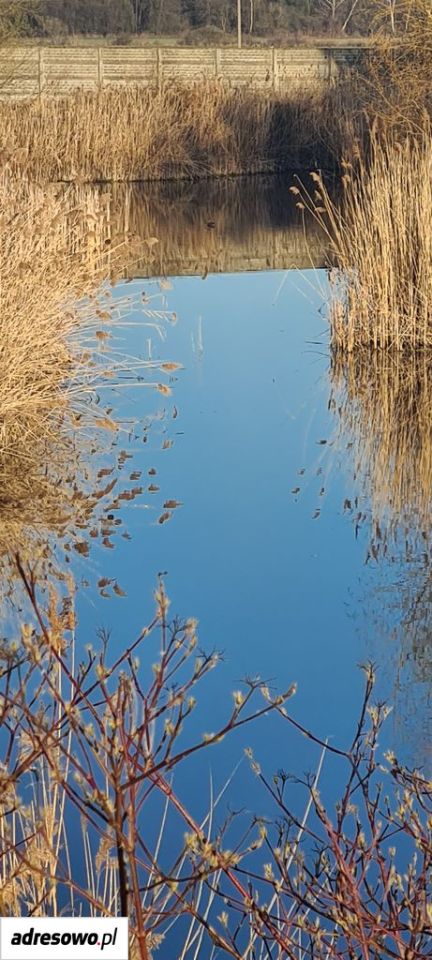 Działka inwestycyjna Grabów. Zdjęcie 3