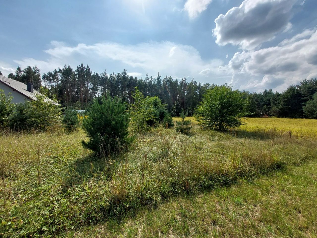 Działka Starochęciny, bez pośrednika 1000 m2