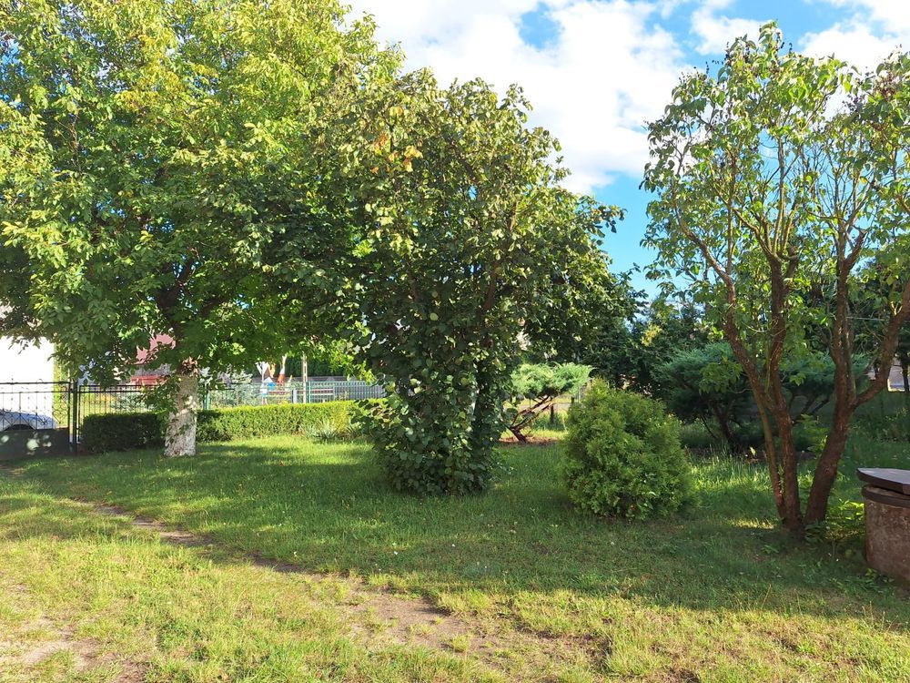 gospodarstwo Łochyńsko. Zdjęcie 8