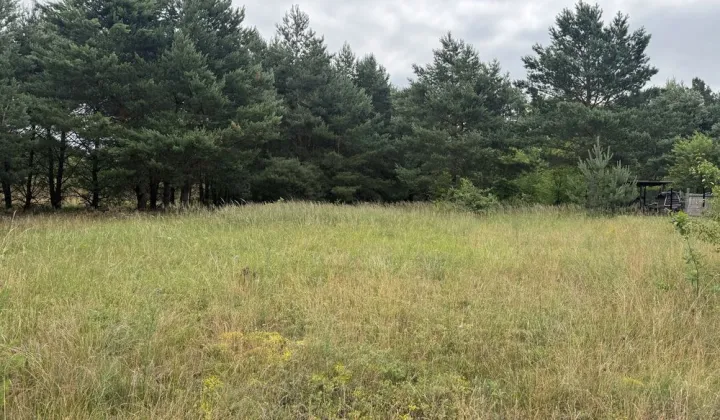 Działka budowlana Nowe Biskupice