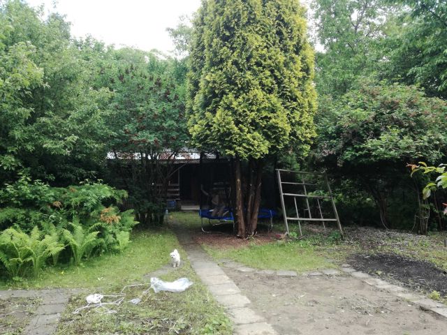 Działka rod Warszawa Czerniaków. Zdjęcie 1