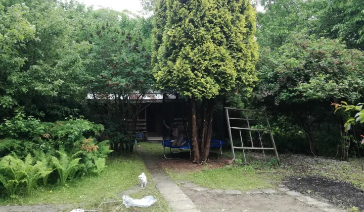 Działka rod Warszawa Czerniaków