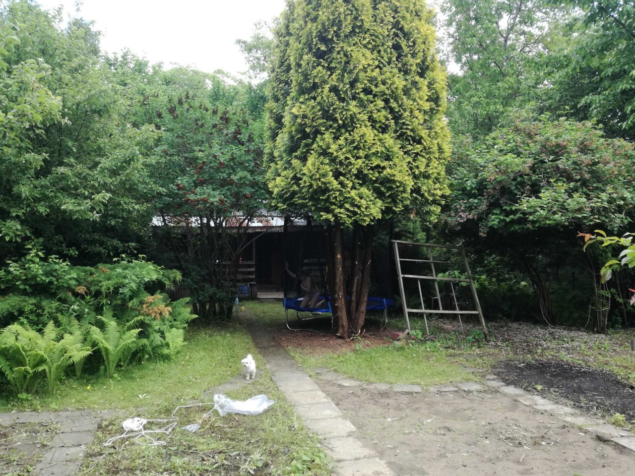 Działka rod Warszawa Czerniaków