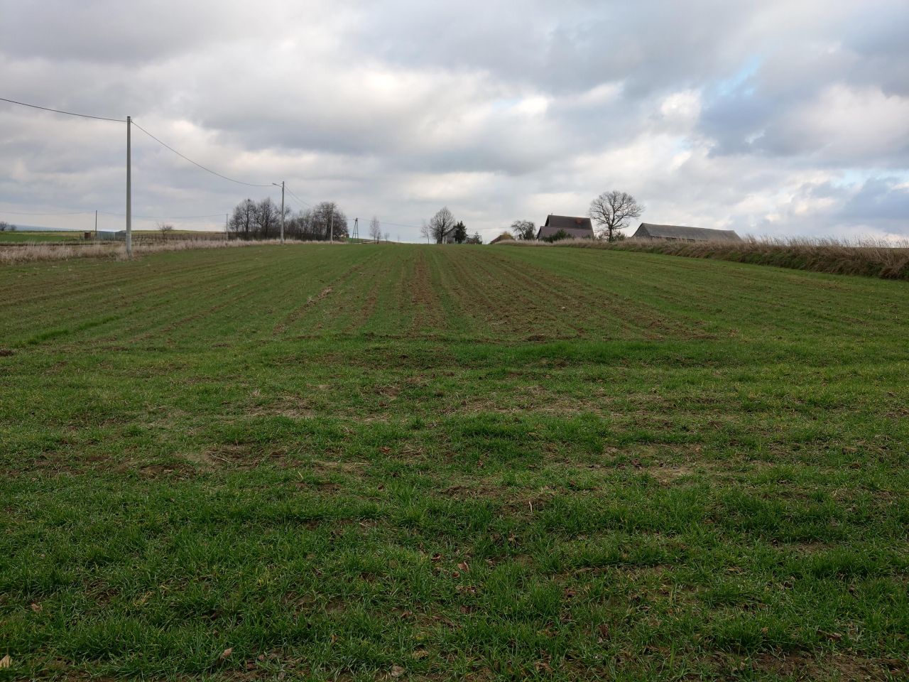 Działka budowlana Dąbrowno. Zdjęcie 4