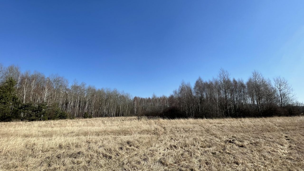 Działka rolna Zalesna. Zdjęcie 5