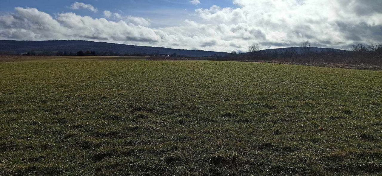 Działka rolna Nowy Skoszyn. Zdjęcie 3