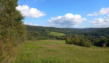 Działka rolno-budowlana Pietrusza Wola