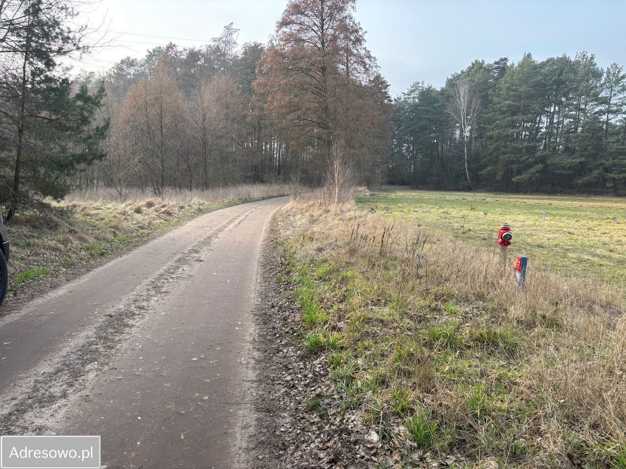 Działka rekreacyjna Bąblin. Zdjęcie 7