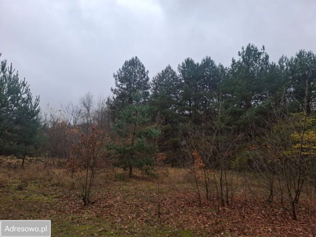 Działka budowlana Strachów, ul. Wspólna. Zdjęcie 1