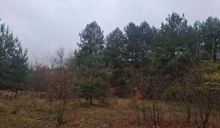 Działka budowlana Strachów, ul. Wspólna