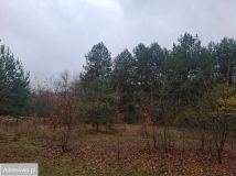 Działka budowlana Strachów, ul. Wspólna