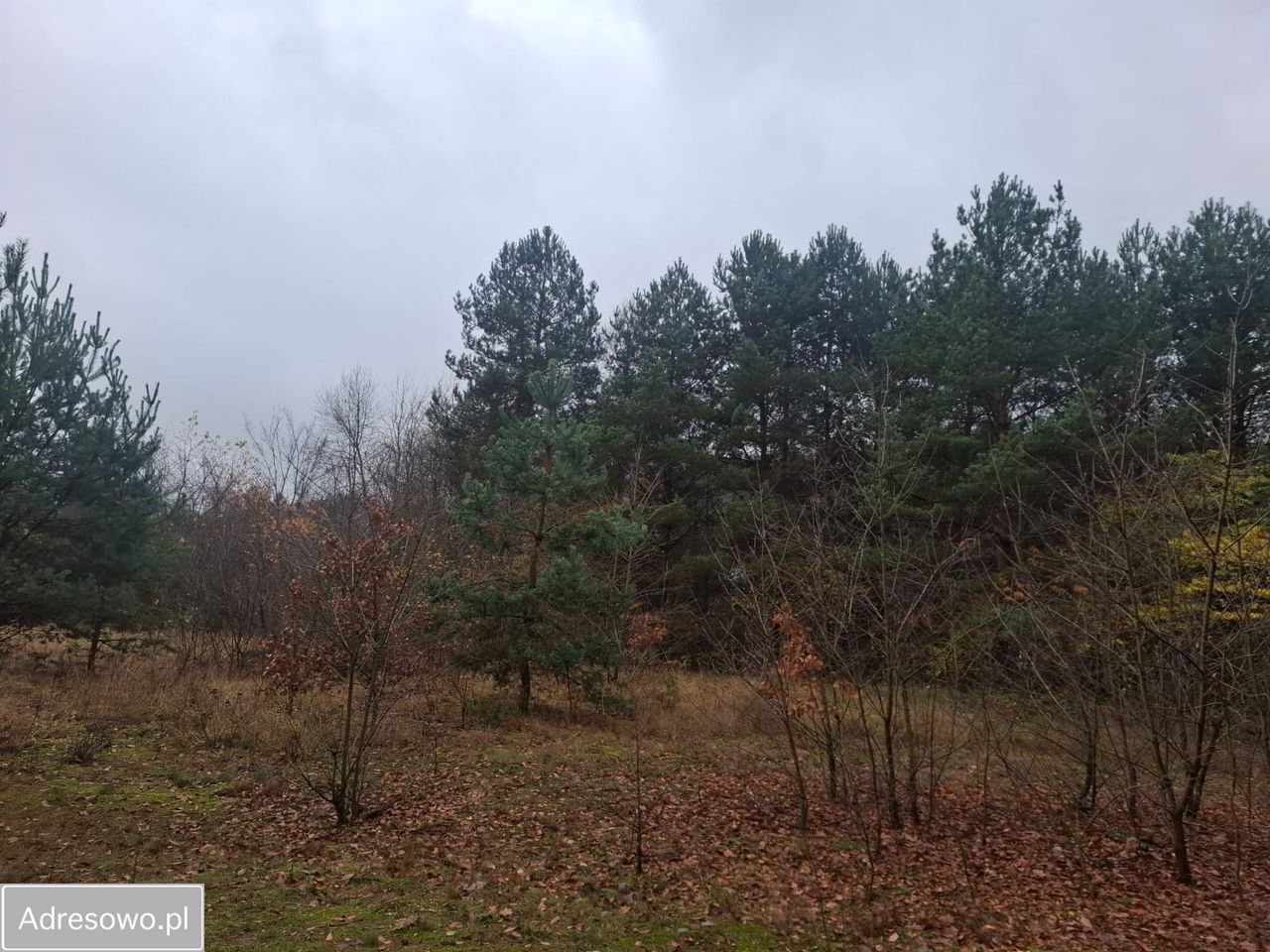 Działka budowlana Strachów, ul. Wspólna