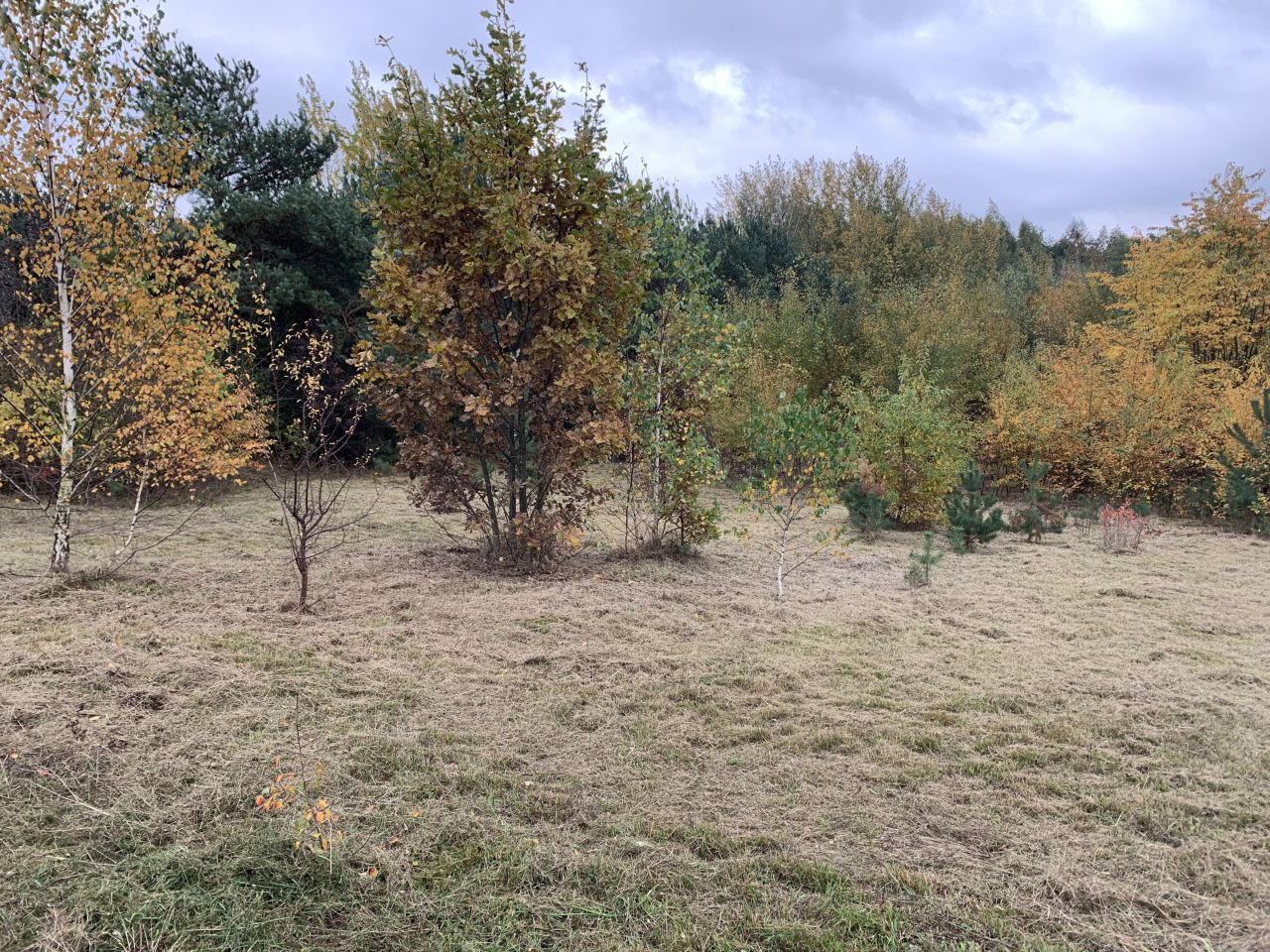 Działka budowlana Cychry. Zdjęcie 6