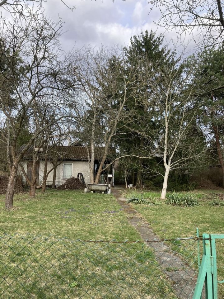 Działka rod Ząbki, ul. Klamrowa. Zdjęcie 1