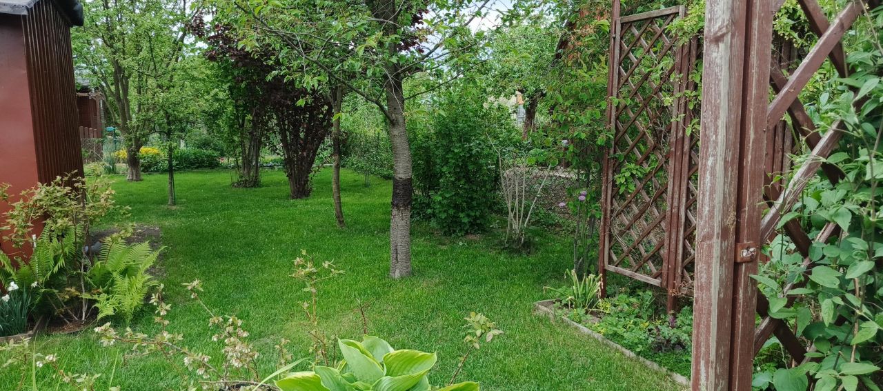 Działka rod Pruszcz Gdański. Zdjęcie 10