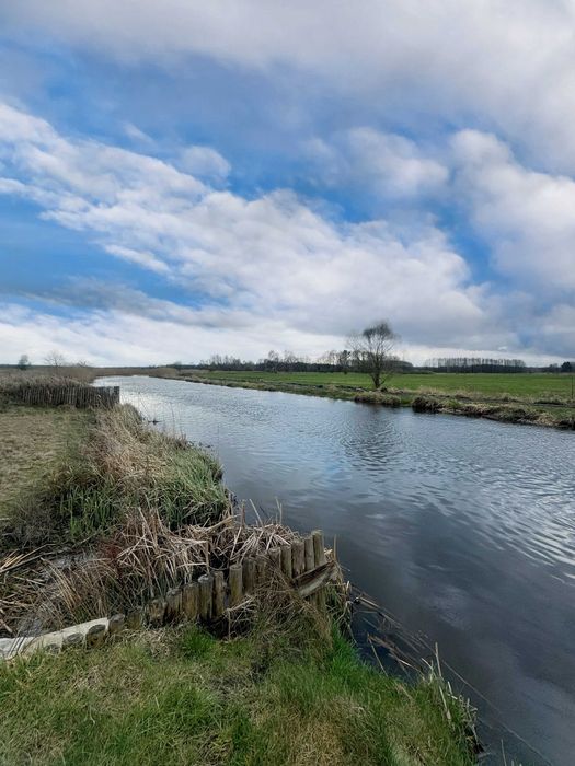 Działka rekreacyjna Uście. Zdjęcie 2