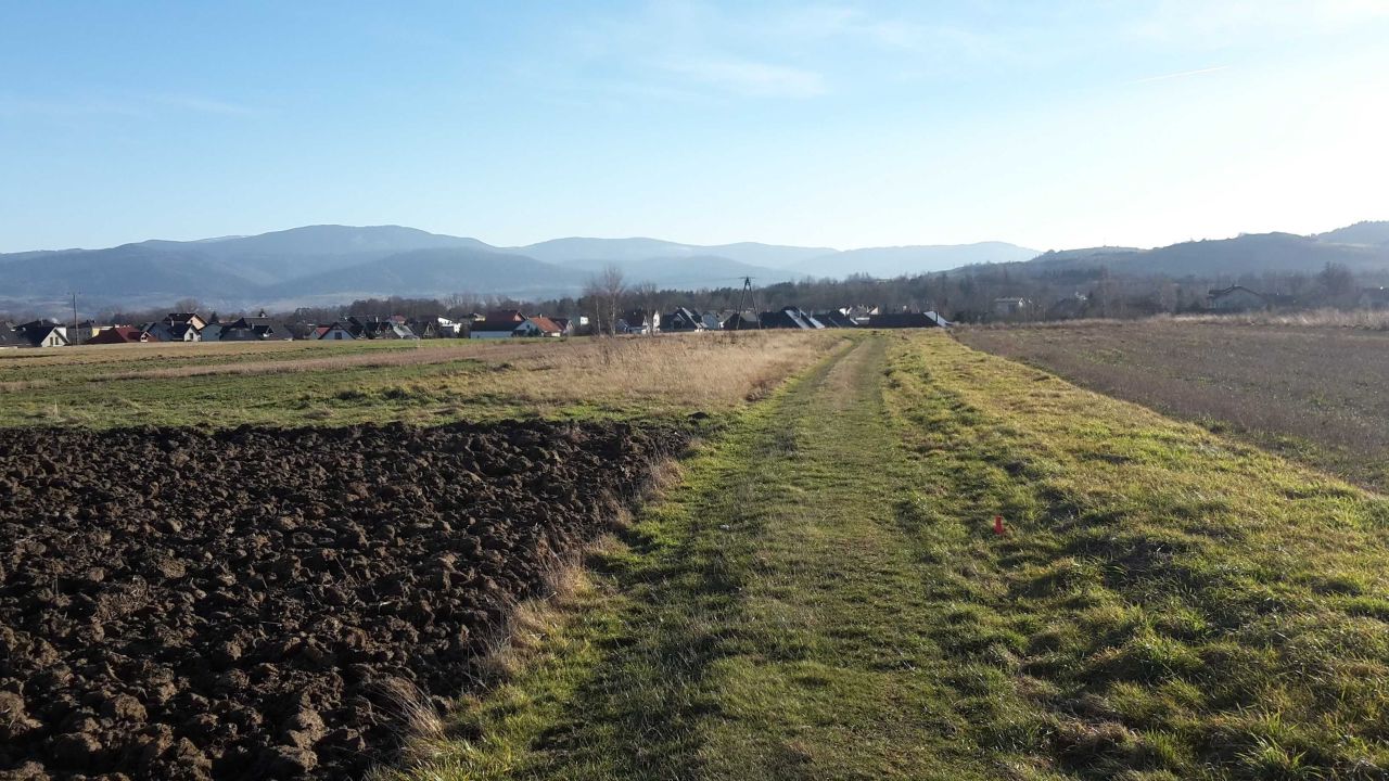 Działka budowlana Lipowa. Zdjęcie 4