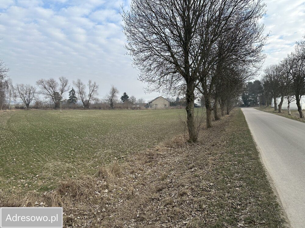 Działka rolno-budowlana Nieborzyn. Zdjęcie 7