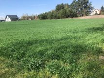 Działka rolno-budowlana Wysokie Koło. Zdjęcie 1