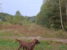 Działka budowlana Tończa Osowiec. Zdjęcie 1