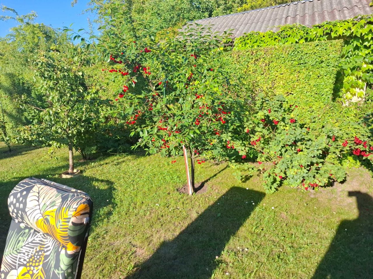 Działka rod Ciechanów. Zdjęcie 8