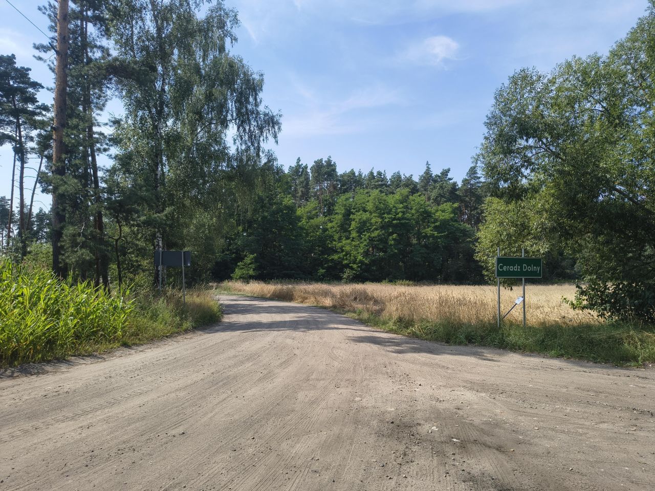 Działka rekreacyjna Ceradz Dolny, ul. Modrzewiowa. Zdjęcie 4