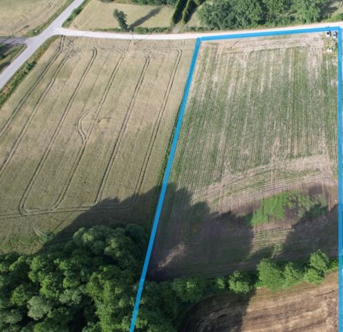 Działka budowlana Zarośle Cienkie. Zdjęcie 2