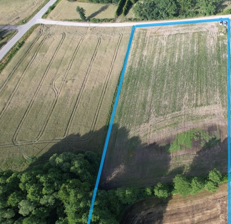 Działka budowlana Zarośle Cienkie. Zdjęcie 2