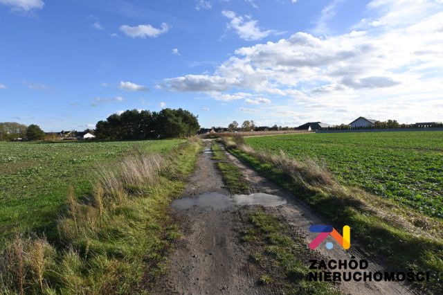 Działka budowlana Niedoradz. Zdjęcie 11